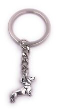 Cane Bassotto Meno Cane Portachiavi Ciondolo Argento IN Metallo