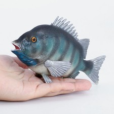 Pesci Finti Per Acquario Pesce