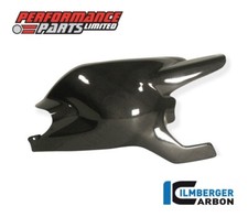 Ducati Monster 796 2011 Ilmberger Carbon Fibre Swingarm Cover Chainguard