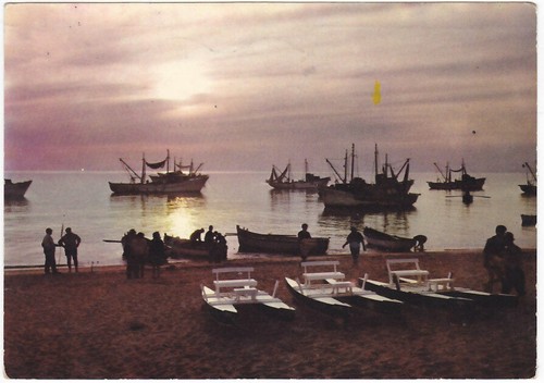 Portorecanati macerata - -,