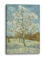 Tela/Cornice Vincent van Gogh