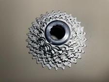 PACCO PIGNONI CAMPAGNOLO
