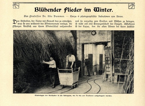 Prof udo dammer - prof.dr.,