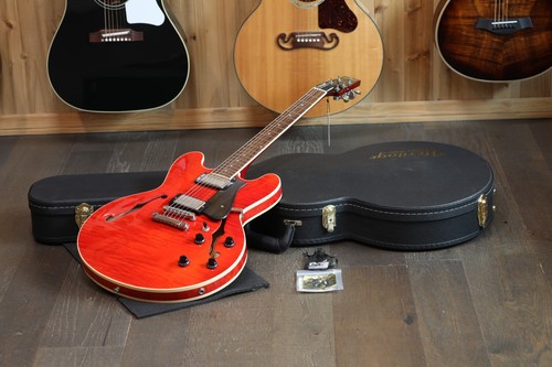 Chitarra elettrica semivuota
