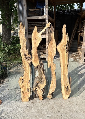 Tavole legno ulivo pezzi - ulivo, 4