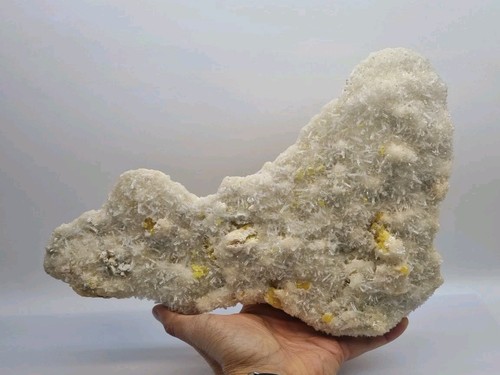 Minerali celestina siciliana - minerali◇celestina,