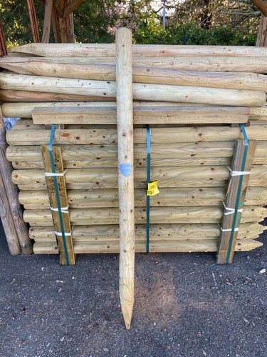 Pali legno pino palo - pali,