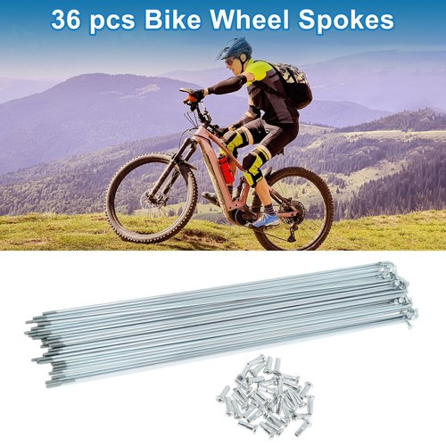 Set raggi bici 14g 239mm - 36,