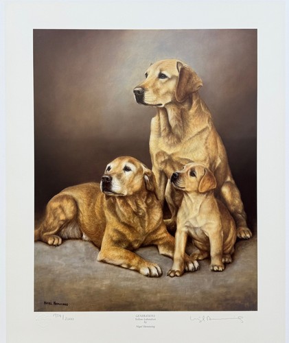 Nigel hemming yellow labrador - hemming,