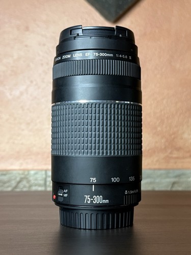Obiettivo canon zoom - canon,