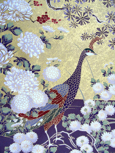 Ayane bird paradise - [ayane],