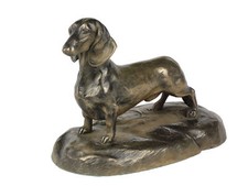 Bassotto a pelo liscio figura