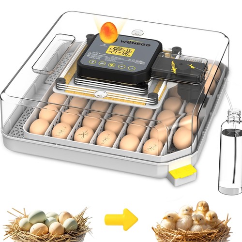 Egg incubator incubators for - egg,
