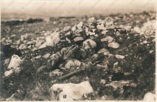 SOLDATO MORTO Cadavere Zona