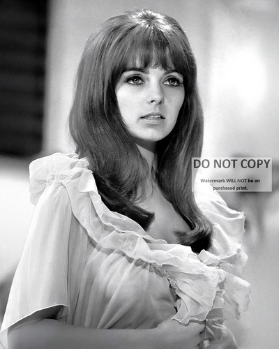 Dolly leggi oltre - dolly,