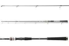 DAIWA Exceler Spin 2,40m