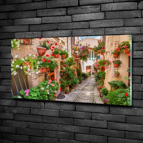 Quadro vetro acrilico - quadro,