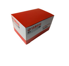 Kit assistenza Yamaha 100 ore