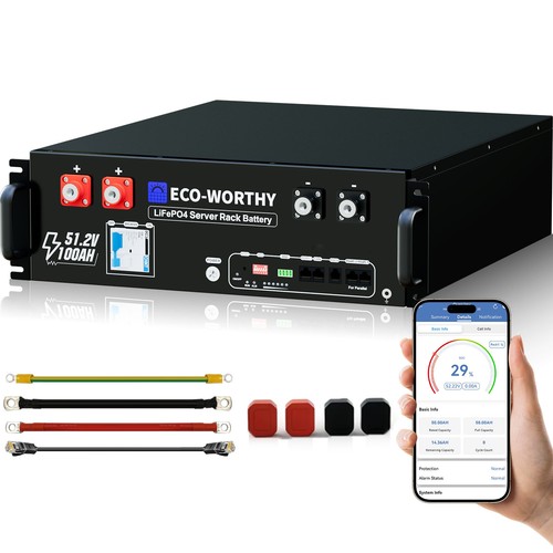 Eco worthy batteria lifepo4 - batteria,