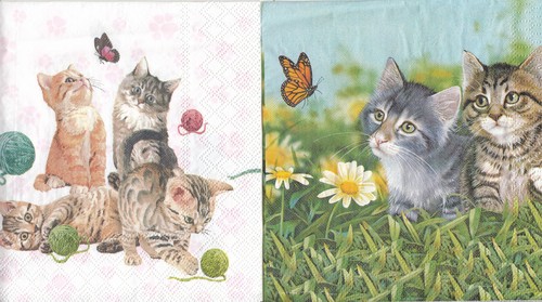 travaglini gattinara