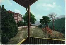 FORLI'- foresta di CAMPIGNA-