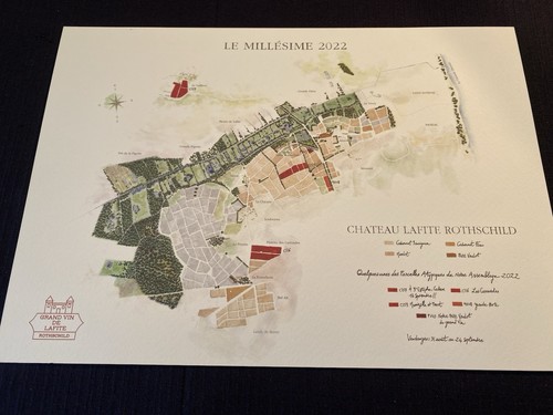 Mappa del vigneto chateau - mappa,