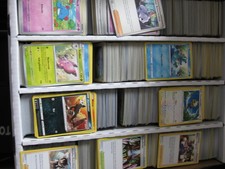 tante carte pokemon diverse in