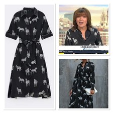 Zara Zebra Vestito Cintura