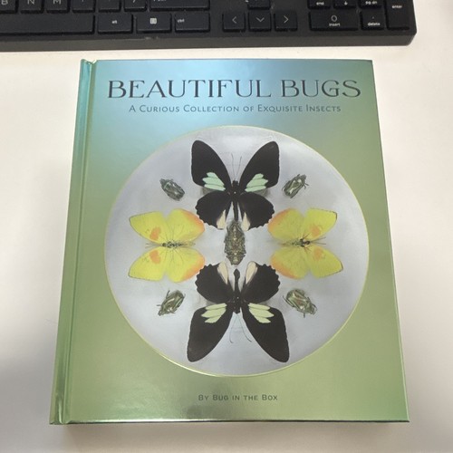 Bug the box beautiful - bug, in