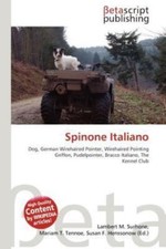 Spinone Italiano
