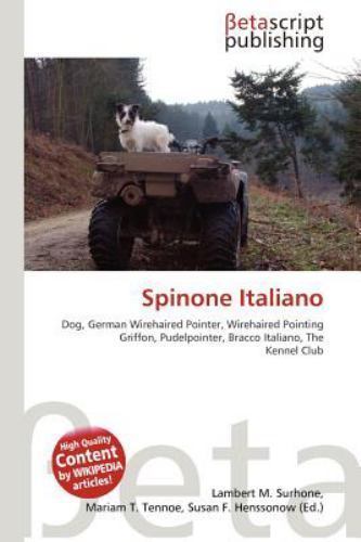 Spinone italiano - spinone,