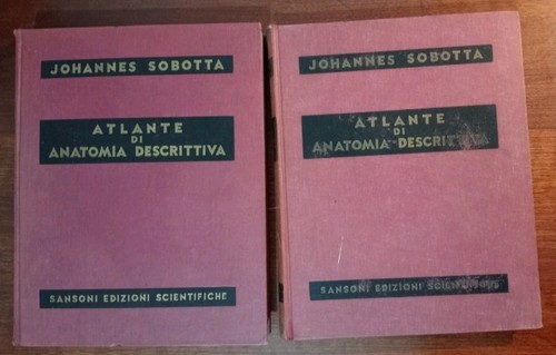 Atlante anatomia - atlante, di