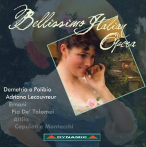 Vincenzo bellini bellissimo - vincenzo,