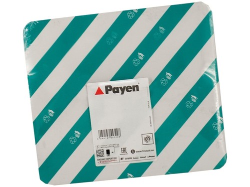 Guarnizione collettore scarico - collettore,