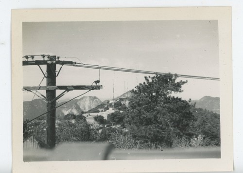 Foto vintage wilson - foto, mt