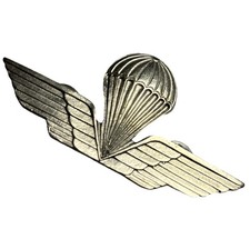 Spilla- Pin - Distintivo