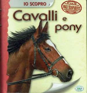 Scopro cavalli pony - io,