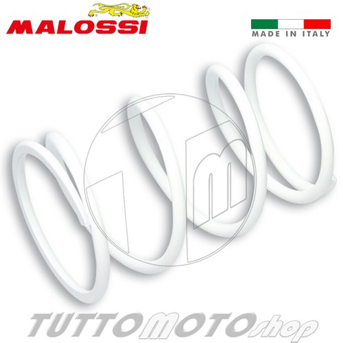 2913316 malossi molla di - 2913316.w0,