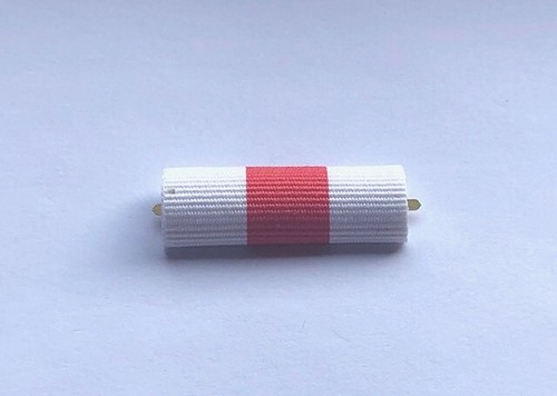 Nastrino diploma - nastrino, di