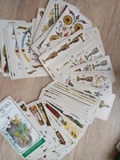 Tarocchi Italiani, Chiromanzia