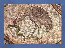 Venezia Basilica di S.Marco mosaico del pavimento cicogna con serpe non vg