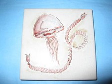 Mattonella 10x10cm per la cucina .9