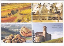 CALAMANDRANA - ASTI - VEDUTINE -96496-