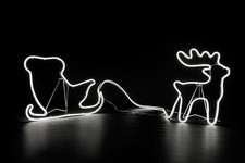 Corda Neon Natalizia Luci