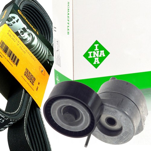 Contitech 6pk1185 cinghia - 6pk1185,