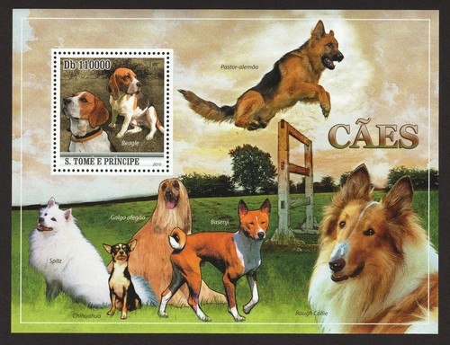 German shepherd beagle - german, shepherd,