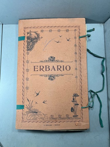 Erbario liceale fine - 800, zona