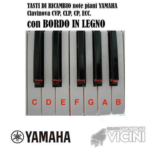 Tasti ricambio note piani - tasti,