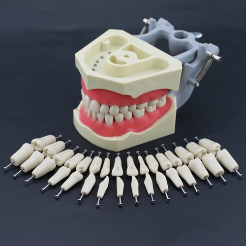 Columbia 860 tipo dentale - columbia,