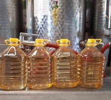 vino bianco vivace 10 litri